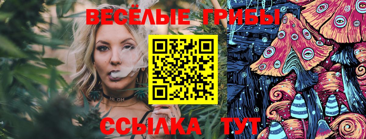 Псилоцибиновые грибы GOLDEN TEACHER Полевской